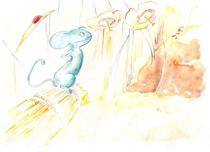 souriceau p1 corrige.jpg